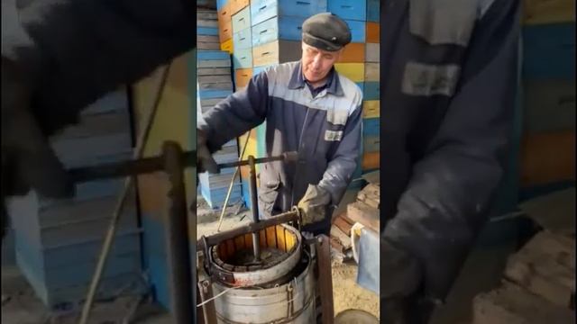 Перетопка воска с рамки Рут
