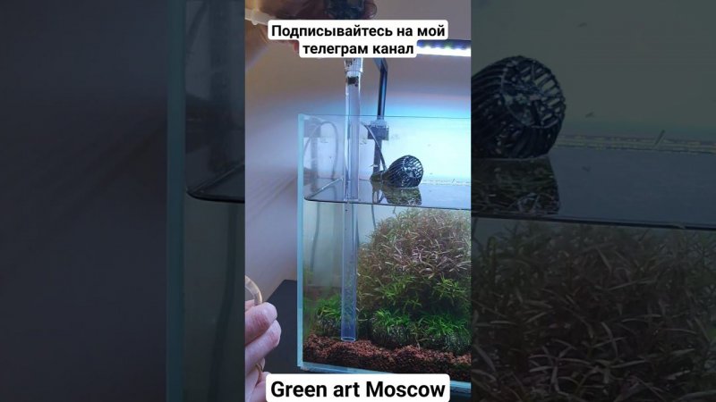 https://t.me/greenartmoscow/1436