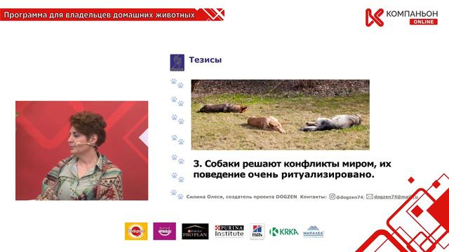 Как изучали поведение собак смотреть онлайн