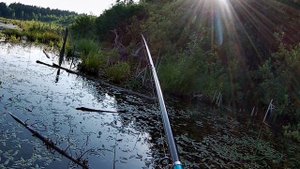 Заякинцы 10 июля 2024.mp4