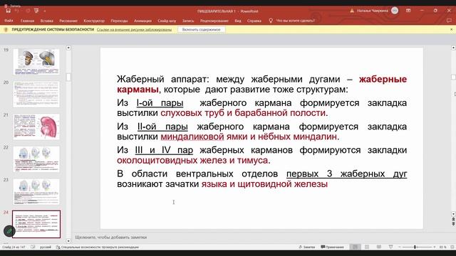 [1] лекция по анатомии 9.02 (пищеварительная система)