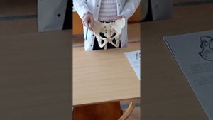 плоскости таза