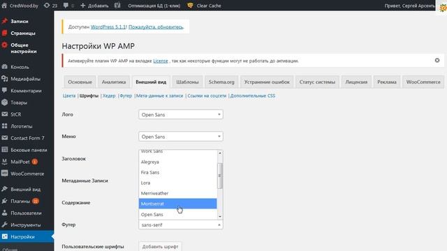 Google AMP на Wordpress - Скорость в 3 раза смотреть онлайн