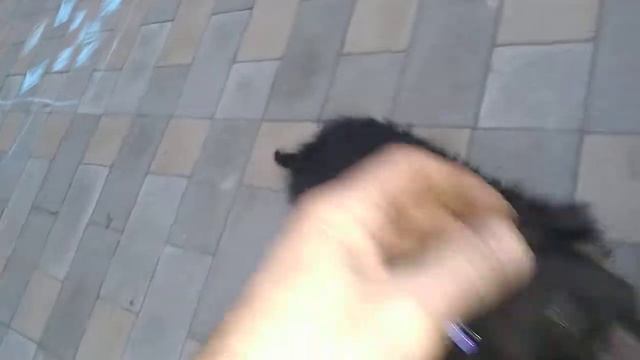 Щенки немецкой овчарки смотреть онлайн