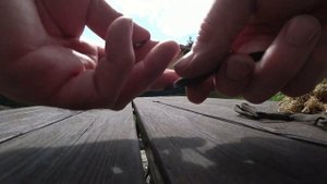 МАНОК (ВАБА)НА ЛОСЯ