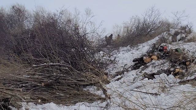 Индустрия дорог - чистка русла реки - 1 день! смотреть онлайн