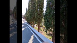 Парк Юсуповского Дворца. Крым