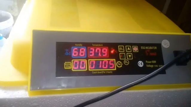 Инкубация 20и яиц в китайском инкубаторе смотреть онлайн