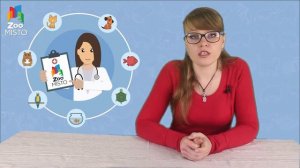 Экзема у кошек-симптомы и лечение