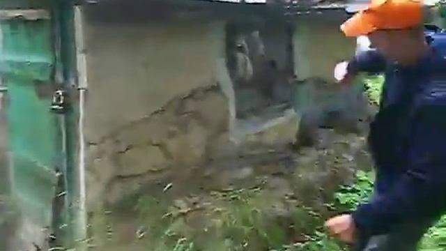 Мы заехали на остров. наоборот, реверс, reverse смотреть онлайн