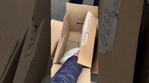 КРОЛИКИ БЕЛЫЙ ПАННОН