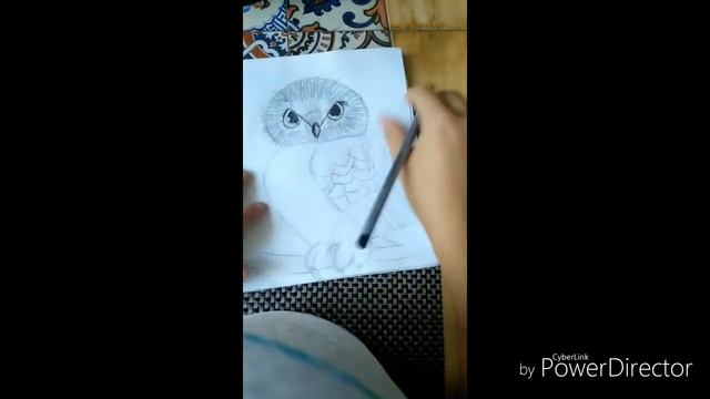 Как нарисовать сову карандашом смотреть онлайн