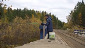 Рыбалка на хариуса и ельца осенью на горной реке. Хариус и елец на червя.