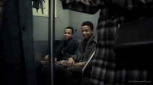 Звери - Районы Кварталы