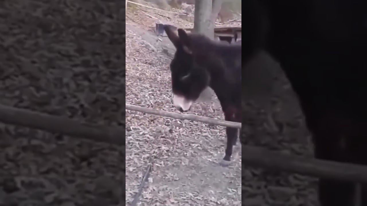 Что будет, если подумать смотреть онлайн