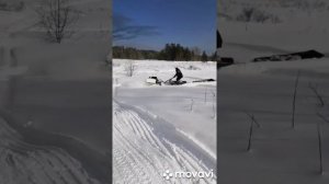 Мотобуксировщик, бтс 500, 15 л.с пробуем пухляк 700 мм. Ему и мне тяжело.