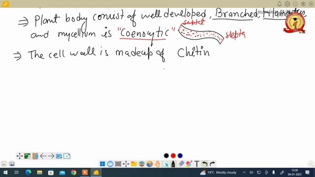 B.Sc. - I Semester Botany Major || General characters of class Zygomycetes || Amarjeet Sir смотреть онлайн