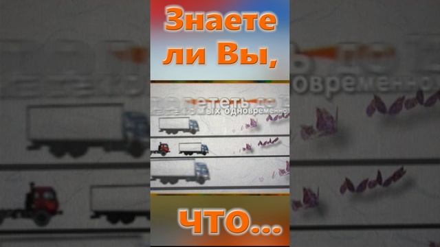 Знаете ли Вы, Что? Миграция бабочек