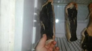 ВЯЛЕНЫЙ ГУСЬ