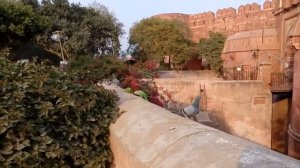 Индия, город Агра, рядом с  Agra fort парк, где отдыхают индианцы