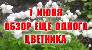 1 июня. Обзор еще одного цветника.mp4