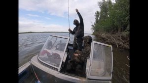 Рыбалка в Астрахани на судака на живца