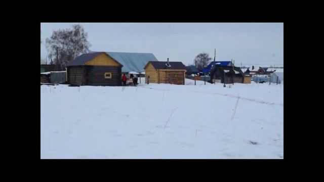 Покажи себя Лидером табуна смотреть онлайн