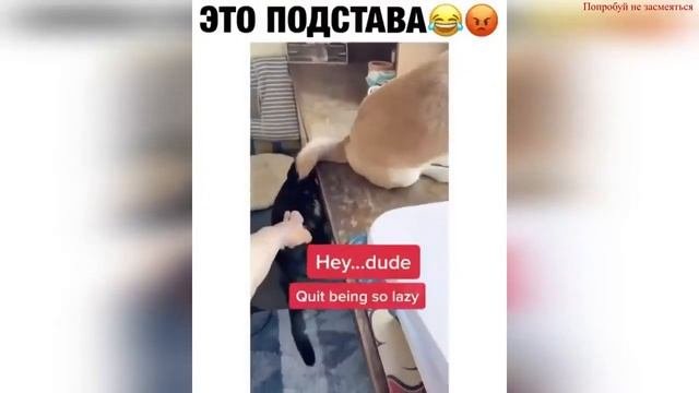 приколы 2021