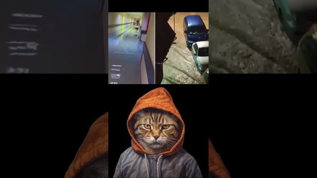 ПАНДОЧКА РОДИЛАСЬ ?? смотреть онлайн