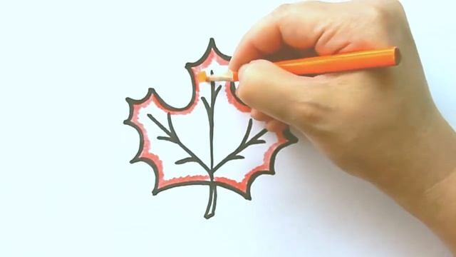 Как Нарисовать Кленовый Лист?Раскраски для Детей?Cartoon Coloring смотреть онлайн