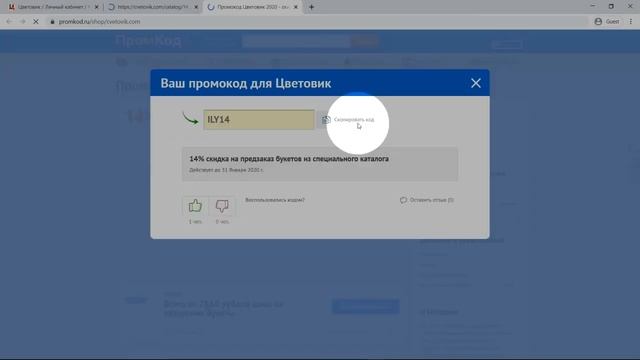 Промокод Цветовик смотреть онлайн
