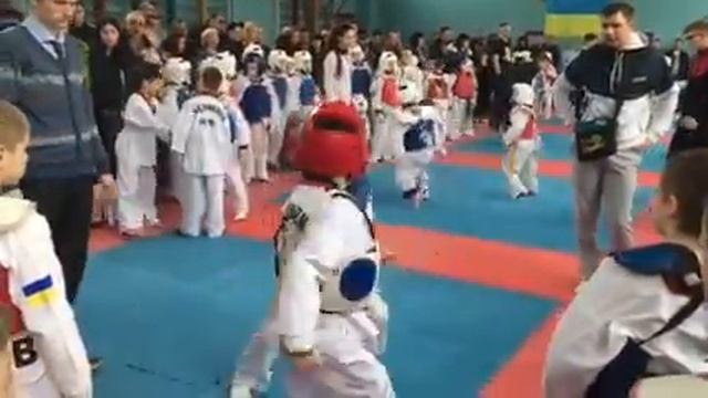 Соревнования по тхеквондо смотреть онлайн