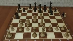 Самая наглая ЛОВУШКА от чемпиона мира! 15   летний Бобби Фишер жертвует все! Партия века Шахматы.