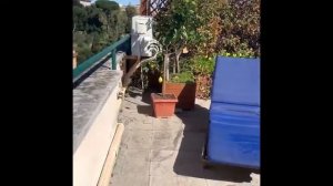 Римские террасы и балконы от первого лица.  #Рим #терраса #балкон