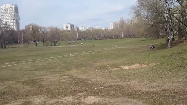 Аристей. Бега. Круг. Тренировка. смотреть онлайн