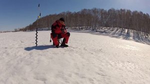 Бешенцево 05.04.15