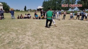 СУРХОНДАРЕ ЖАРКУРГОН СУРХОНДА КУРАШ 31.05.2022