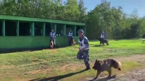 В Якутии определены лучшие специалисты-кинологи