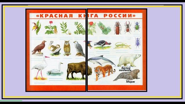 Папа сережи и нади нарисовал несколько видов животных из международной красной книги