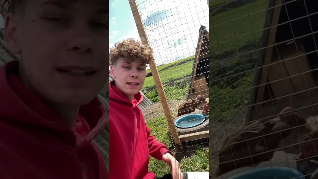 Сезон купания в деревне открыт смотреть онлайн