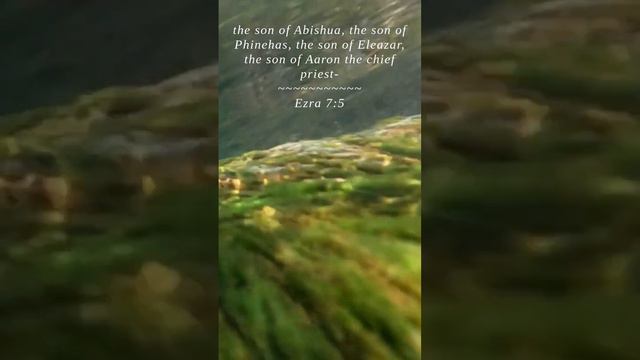 Bible | Ezra 7:5 | the son of Abishua the son of ...