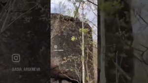 Алтай. Белокуриха. Мегалиты Четыре брата/ Круглая гора.