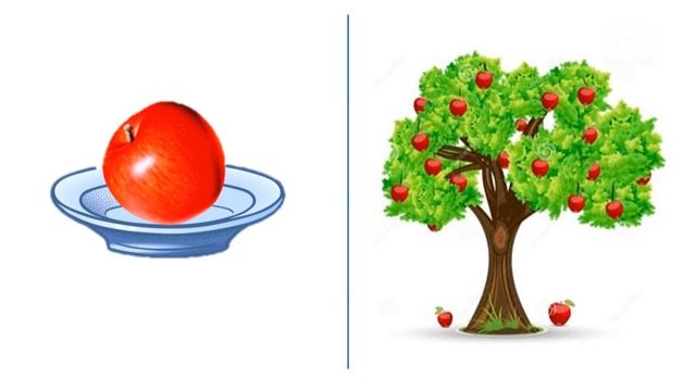 Количество и счет / Формирование элементарных математических представлений