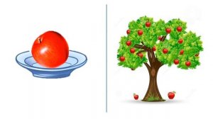 Количество и счет / Формирование элементарных математических представлений