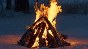 ? МУЗЫКА ОГНЯ!  Уютный костер в зимнем лесу. Горящие поленья и звуки потрескивания огня?