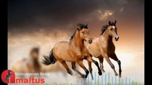 Молодежная Кафа  [Amaltus]