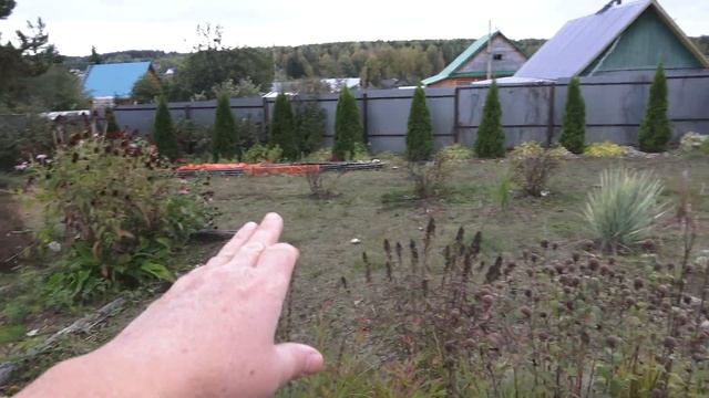 Опять урожай? Сколько можно? Уже октябрь! смотреть онлайн