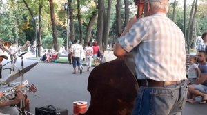 ЖИВАЯ МУЗЫКА ????/ ТАНЦЫ В САДУ ШЕВЧЕНКО ХАРЬКОВ АВГУСТ 2020