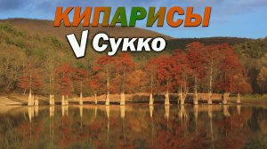 Кипарисы в Сукко и Ласточкины гнезда в Супсехе ,прогулка по Анапскому району!