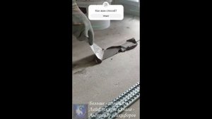 Лайфхак. Как выровнять кривую стяжку минимальным слоем